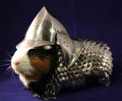 guinea pig in armor